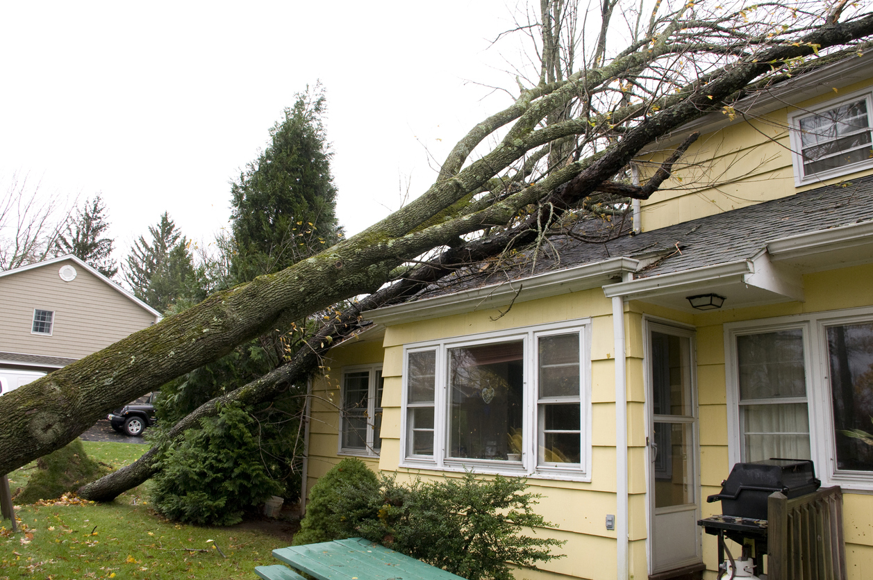 Property Damage Adjuster in Downers Grove